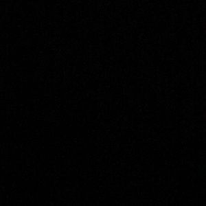 Meet your Posher, Elena